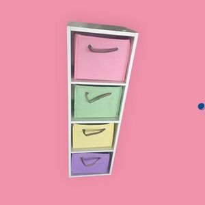 Multi-Color Storage Organizer with Bins